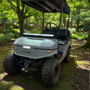 2023 Hyundai Golf Cart