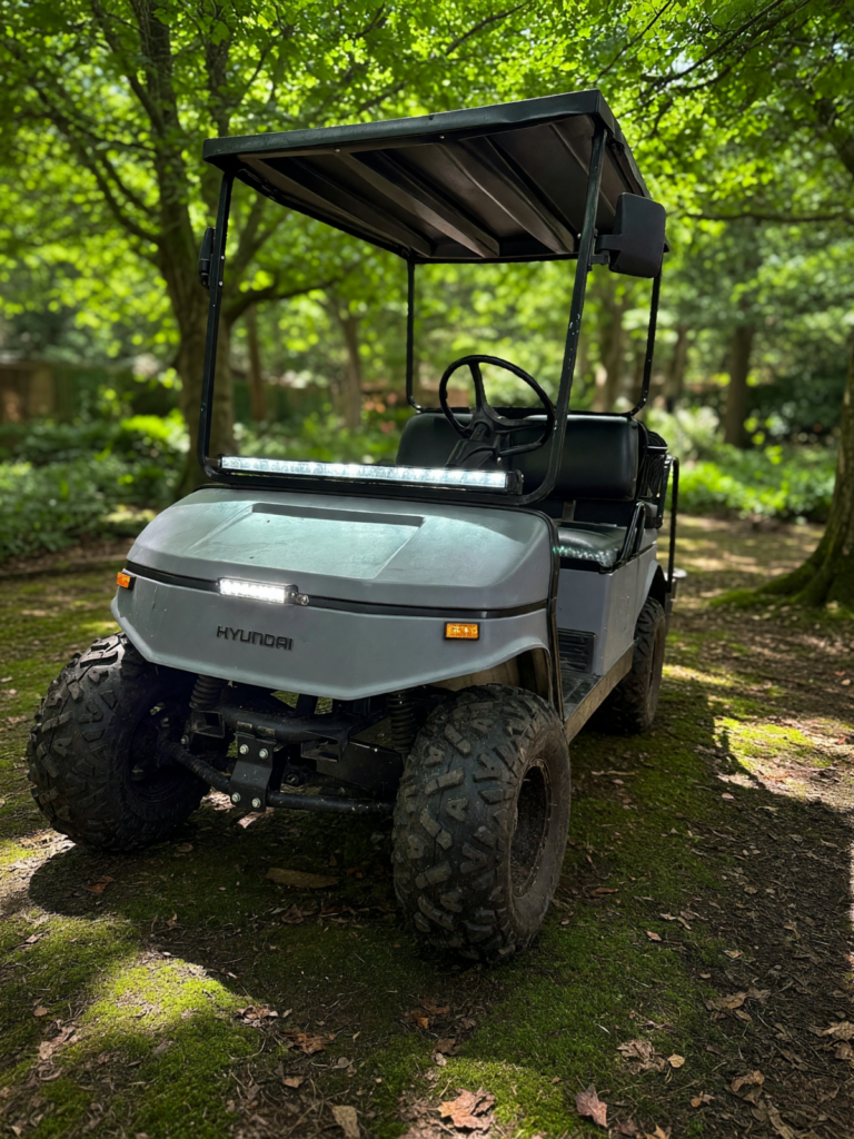 2023 Hyundai Golf Cart