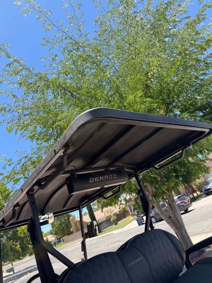 Denago electric Golf cart - Image 9