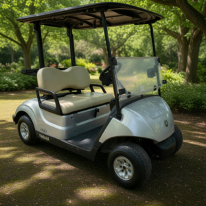 2021 Yamaha Gas Golf Cart