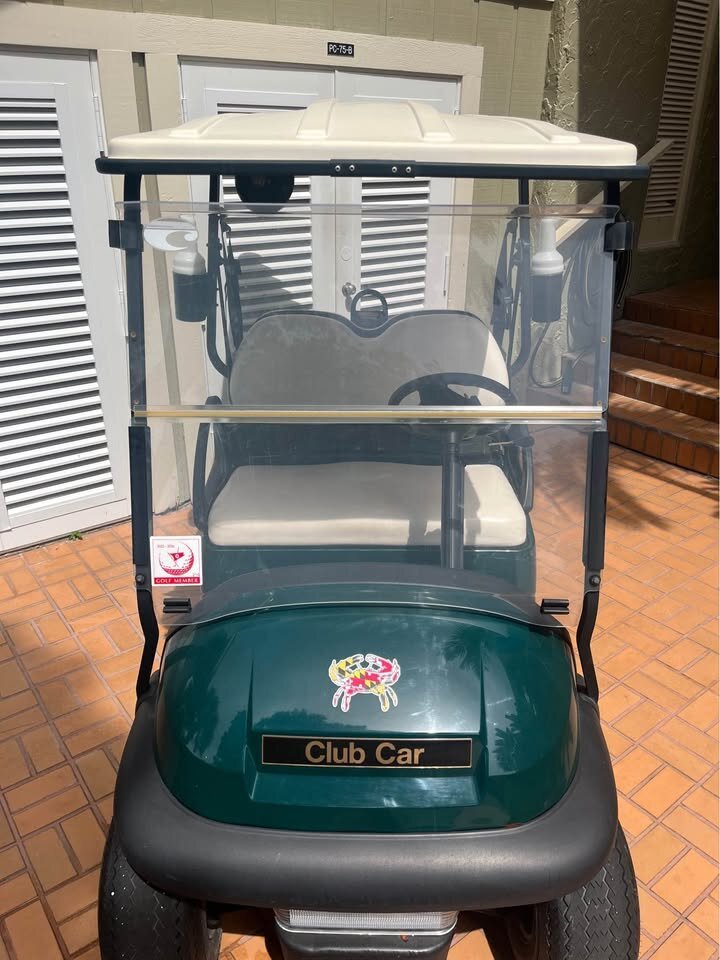 Club Car 2020 Golf Cart - Image 7