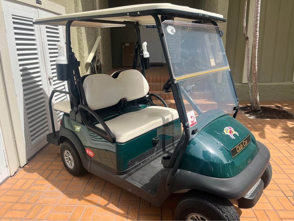Club Car 2020 Golf Cart - Image 9