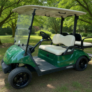 2020 Yamaha G2 Lithium Golf Cart
