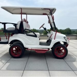 2021 Club Car Precedent Stanford Custom Golf Cart 4 seater