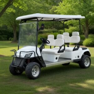 SDLANCH White 6-Passenger Extended Golf Cart with Off-Road Tires
