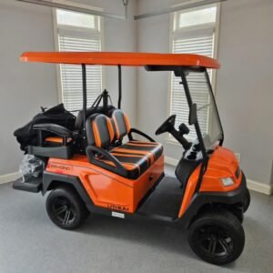 2024 Bintelli Beyond Golf Cart 4 Seats
