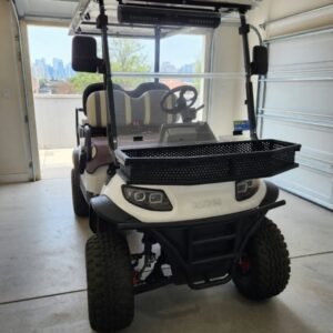 2025 Icon I40L Golf Cart Lithium Battery, Canopy 4 seater