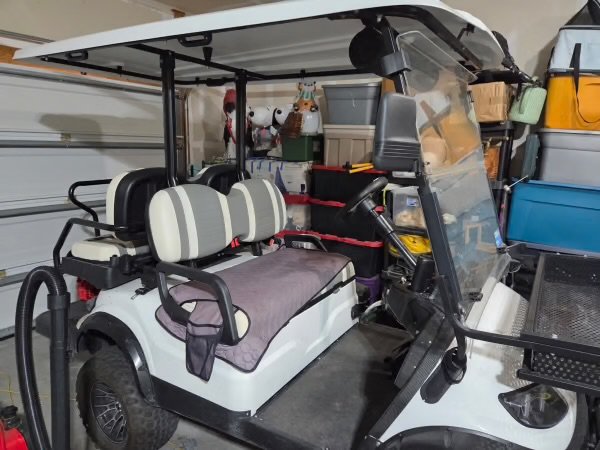 2025 Icon I40L Golf Cart Lithium Battery, Canopy 4 seater - Image 2